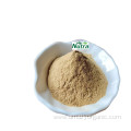 High Quality Pure Sour Orange Extract Diosmin Powder